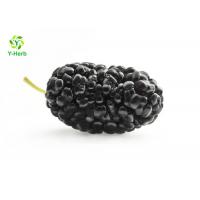 China Anthocyanin Fruit Mulberry Herbal Extract Powder For Food Additives factory