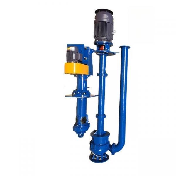 Quality Non Clogging Centrifugal Slurry Pump Vertical For Coal Washing for sale