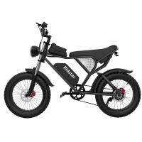 China Smooth Riding Steel Frame 20 Inch Electric Bike 20MPH 50 Mile Range factory