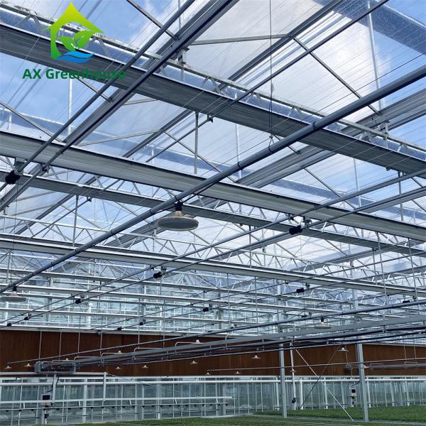 Quality Custom Clear White Horticultural Glass Greenhouses For Cold Climates for sale