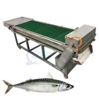 China Fully automatic fish cutting machine electric slicer equipment fresh and dried fish slicer fish slicer factory