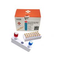 China ISO13485 Canine Adenovirus Pcr Test Type II Taq Ploymerase Dog DNA Test Kit factory