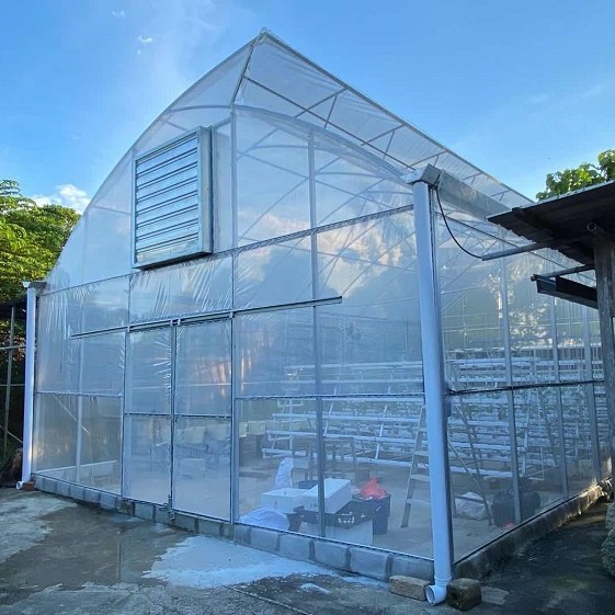 Quality Tropical Arches Agricultural Growing Polyethylene Film Greenhouse for sale