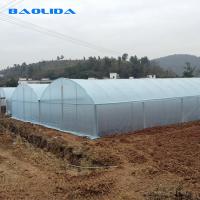 China Baolida Multi Span Plastic Film Greenhouses With Hot Dipped Galvanized Frame factory