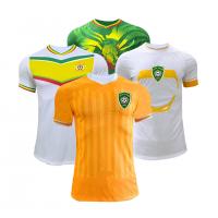 China 2023-2024 Africa Cup Jersey Lightweight Twill / Plain Pattern Soccer Team Jersey factory