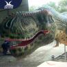 China ZiGong Professional Artificial Dinosaur Model Dino Theme Park Decoration factory