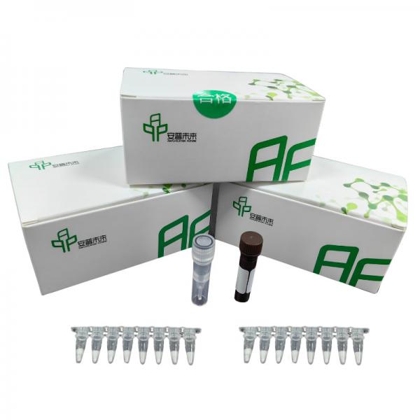 Quality Efficient DNA Composition Nucleic Acid Reagent In Liquid Form for sale