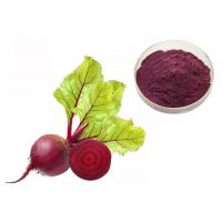 China Natural Pigment Anti Tumor Red Beetroot Vegetable Extract Powder factory