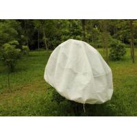 Quality Hydrobilic Agriculture Non Woven Fabric PP Winter Protection No Pollution For for sale