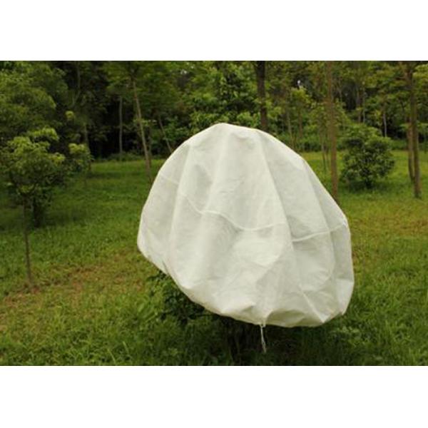 Quality Hydrobilic Agriculture Non Woven Fabric PP Winter Protection No Pollution For Orchards for sale