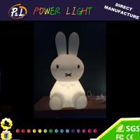 China LED Gift Light Home Decoration Color Changing LED Light Toy factory