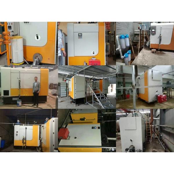 Quality Small 800kg/h 0.7Mpa 1.0Mpa 1.2Mpa  Biomass Boiler For Greenhouse for sale