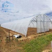China Tomato Poly Greenhouse Agricultural Tunnel Plastic Greenhouse For Drip Irrigation Equipment factory