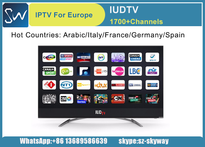 China 12 Months IUDTV 1700 Europe Arabic HD IPTV Subscription kodi list mag 250 V88 android tv converter box factory