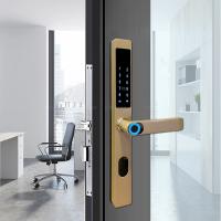 China Digital Sliding Door Biometric Lock Code Card Key Access Tuya Remote Control factory