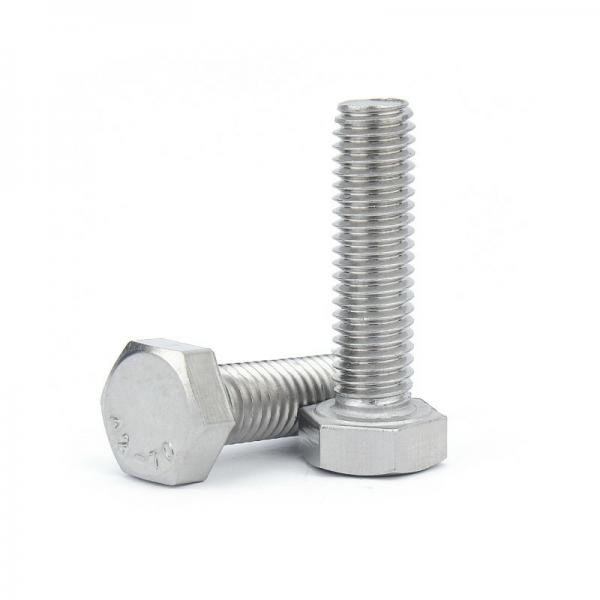 Quality 18-8 Stainless Steel Hex Head Bolts Metal 250mm Hex Head Screws for sale