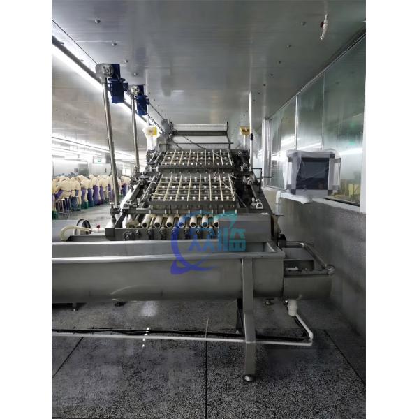 Quality Touch Screen Shrimp Peeling Machine Multiscene 3000W 250-300KG/H for sale