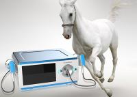 China Pain Reduce Low Noise Horse Shockwave Machine For Horses Medical Device factory