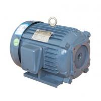 Quality Oil Pump Electric Motor for sale