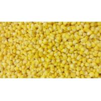 China EOE Stackable Canned Sweet Corn Kernel Super Sweet 425g with Private Label factory