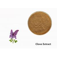 China Brown Clove Flower Plant Extract Powder For Food Additive factory