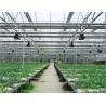 China Pc Sheet / Polycarbonate Sheet Greenhouse For Modern Organic Agriculture factory