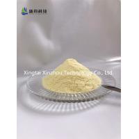 China Manufacturer Supply Progesterone CAS 57-83-0 The Main Progesterone In The Body factory