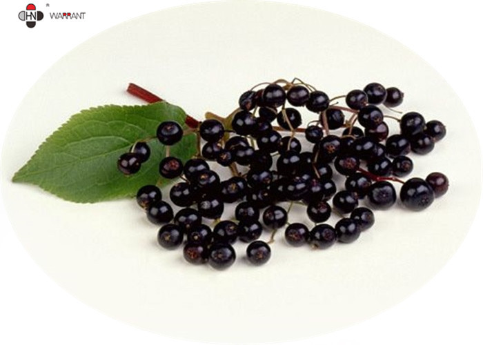 China GMP Anti Aging Water Soluble Pure Elderberry Extract factory
