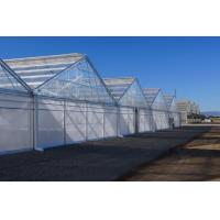 Quality Tropical Area Vegetable Plastic Film Greenhouse For Hydroponic Growing for sale