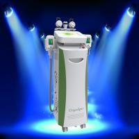 China Cryolipolysis Vacuum Fat Freezing/Cellulite Removal Fat Reduction RF Ultrasound Machine factory