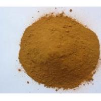 China Schisandra Chinensis P.E.-Total Schisandrin 2%powder factory