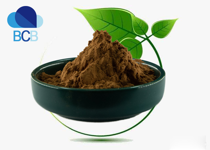 China 99% Dietary Supplements Ingredients Herb Panax Ginseng Extract Powder factory