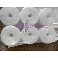 Quality Raw White Polypropylene Twine Packing Rope Lt021 Diameter 1mm - 6mm for sale