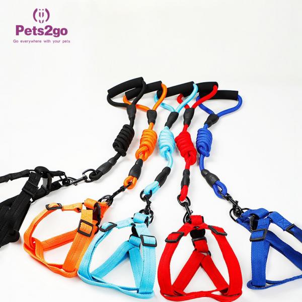Quality S Size Nylon Stocked 500cm*1cm Dog Leash Rope for sale