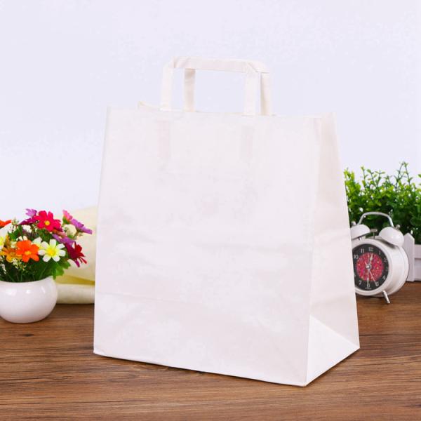 Quality Custom Printed Kraft Paper Bags Environmentally Friendly Flat Hand Rope for sale