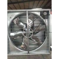 china Agricultural Greenhouse Cooling System , Greenhouse Exhaust Fan Wall Fan Mounting
