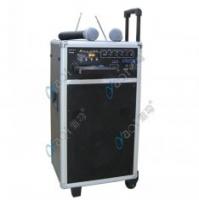 China Powerful Wireless Digital Amplifier with Speaker factory