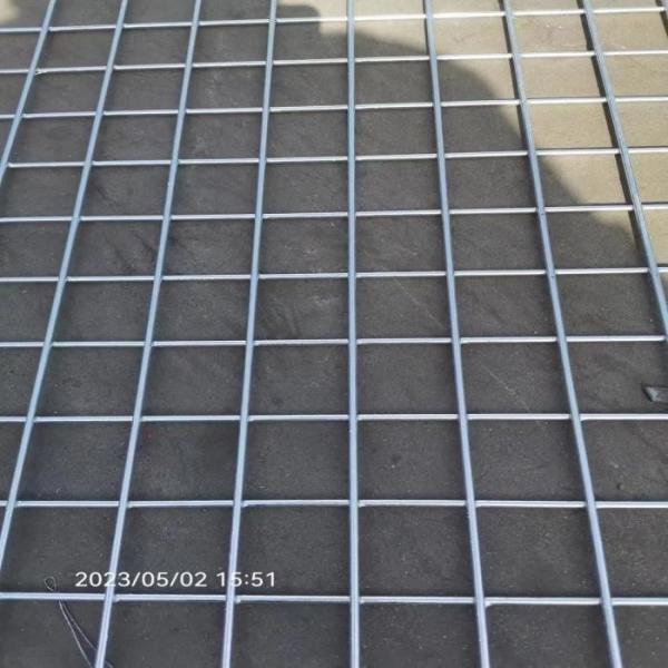 Quality 2x2 12 Gauge Welded Wire Fence Panels 4 Ft X 8 Ft Welded Steel Wire Mesh for sale
