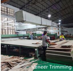 China Factory - Dongguan Yinghui Wood Industry Co., Ltd.