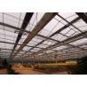 China Multifunctional Agricultural Greenhouse Hydropnics Film Complete Large Strawberry factory