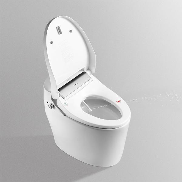 Quality ARROW Smart Toilet Seat 660x400x520mm Water And Air Dry Functional for sale