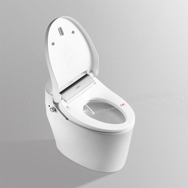 Quality ARROW Smart Toilet Seat 660x400x520mm Water And Air Dry Functional for sale