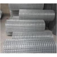 Quality 1.2m High Tension Galvanized Welded Fence Pvc Square Galvanised Wire Mesh Panels for sale