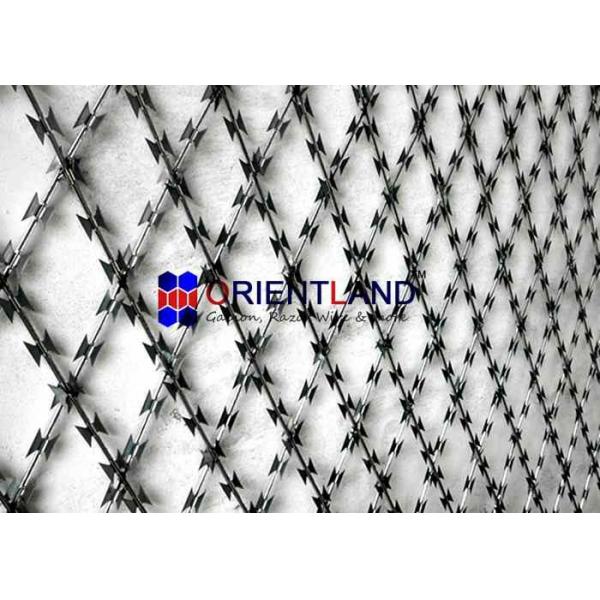 Quality Stainless Steel Razor Wire Fence , Anti Climb Barrier Razor Ribbon Fence for sale