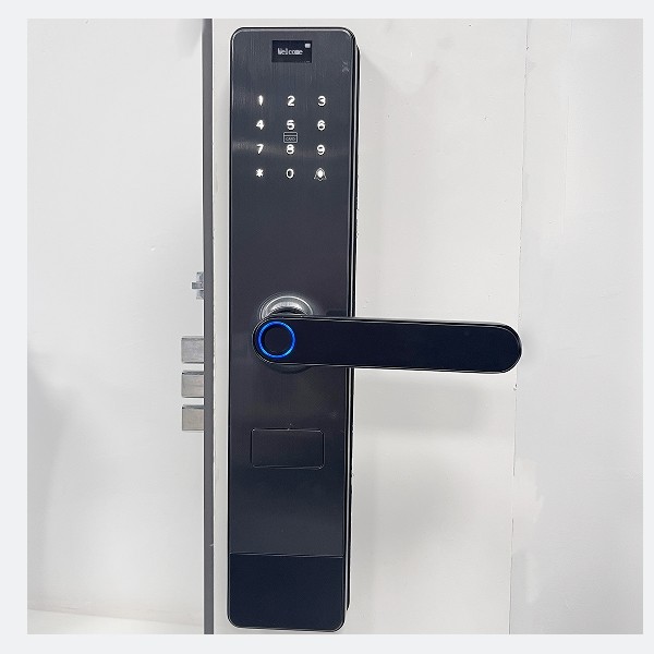 Quality WIFI Intelligent Fingerprint Door Lock Residential Smart Black Color for sale