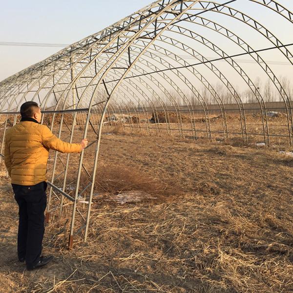 Quality Double Arches Double Film Agricultural Growing 10X50m Single Span Greenhouse for sale