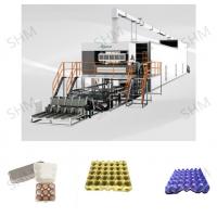 Quality Fruit Tray Making Machine for sale