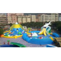 China Giant Adults / Kids Inflatable Water Slide Pool for Funny Amusement Games for sale