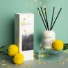 China Refillable Scented Reed Diffuser , 6.8oz Essential Oil Reed Diffuser factory