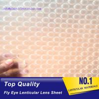 China PLASTIC LENTICULAR fly eye 3d lenticular lens sheet materical with 3d effect and 360 degrees for sale